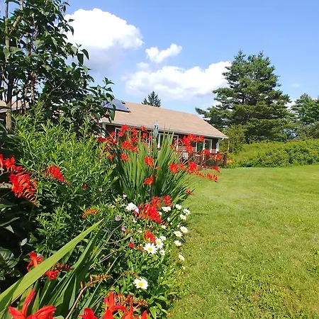 Spacious Country Retreat Close To Town And Nature, Sylvana Farm Vt